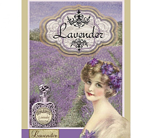     Stamperia DFSA4004 "", 4