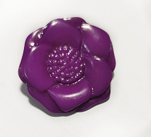   , 29 , Union Knopf 2