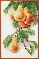 Набор для вышивания "Груши" по рисунку К. Кляйн