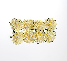 Цветы декор. Астры из бумаги кремовые, 8 шт ш12