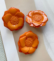   , 29 , Union Knopf 21