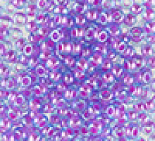 Бисер кристалл с цветной полосой и блеском 61006